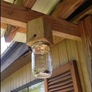 Carpenter/Boring Bee Catcher .. you’ll be getting 2 catchers